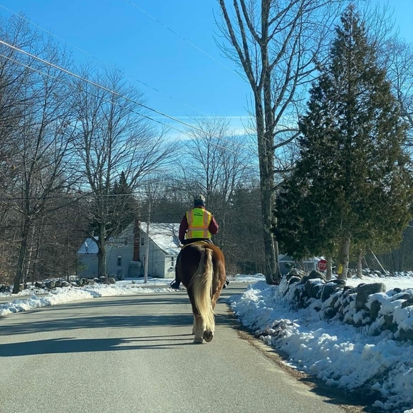 ☆ Woohoo ! Made It To 500,000 ☆ - Picture 5 of 11